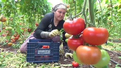 Doğu Akdeniz'de "Afrika Sıcakları" Kavuruyor