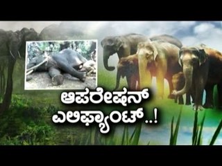 Public TV | Special Time : Operation Elephant | March 25th, 2016