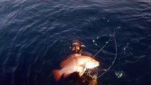Landed 8kg Red Snapper - Kuwait Spearfishing