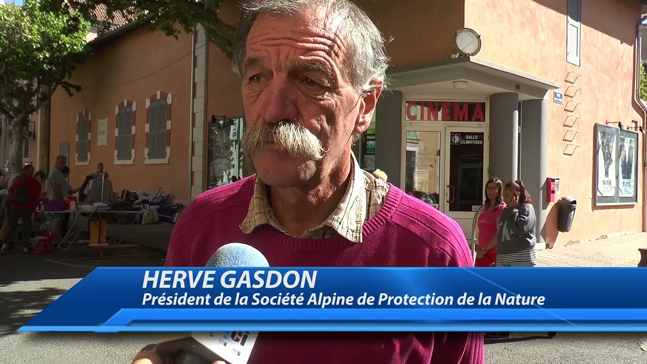 Hautes-Alpes : la projection d'un film sur le loup et le pastoralisme déplacée de Champoléon à Laragne à cause d'éleveur