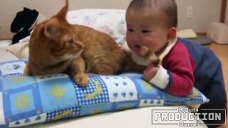 Babies Annoying Cats Funny Baby Cat Compilation