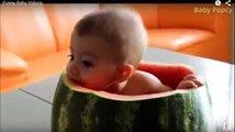 Top 10 Funniest Baby's Videos | Baby's Funniest Videos