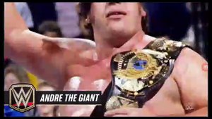 All WWE Chamlions