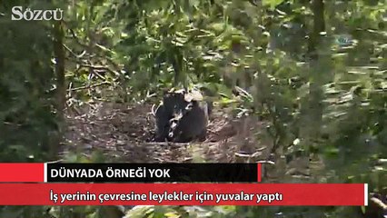 Dünyada örneği yok