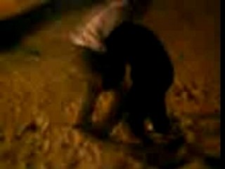 l'amitier chez les p.s