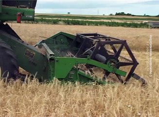 U borskoj opštini prosečni prinosi žitarica,  02. jul 2017 (RTV Bor)