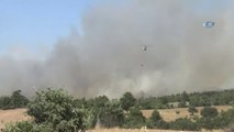 Buğday Tarlasında Çıkan Yangın Ormanlık Alana Sıçradı