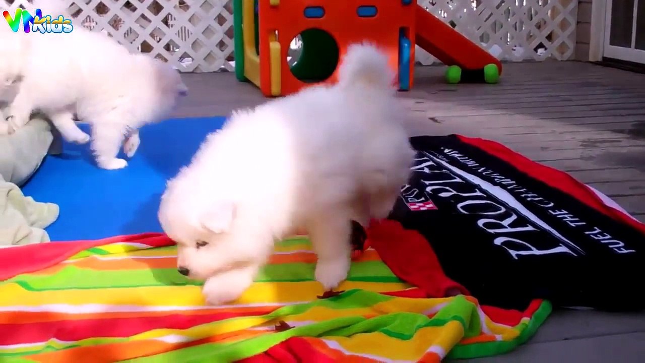 Liên khúc nhạc thiếu nhi Remix hay nhất [HD]