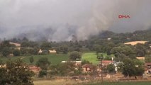 Çanakkale'de Tarım Arazisindeki Yangın Ormana da Sıçradı