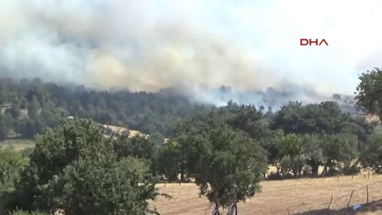 Çanakkale Ezine Ilçesi'nde Orman Yangını - 3