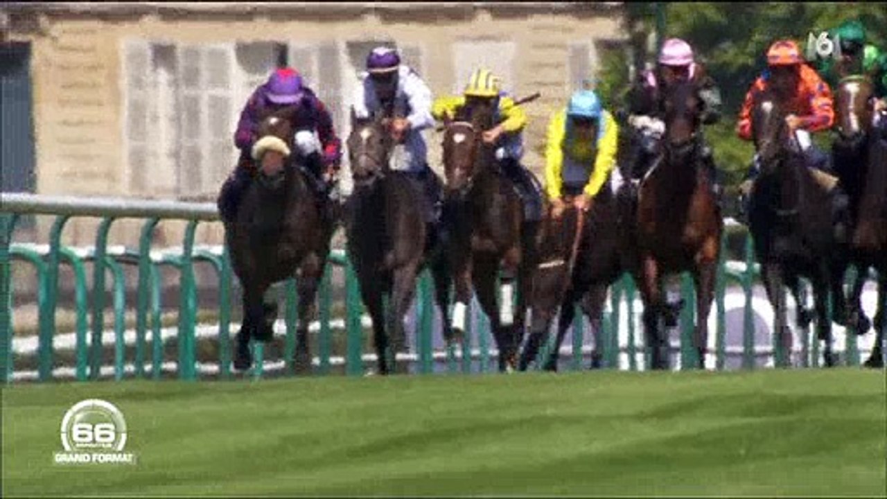 Devant les yeux effrayés de Sophie Thalmann, son mari, jockey, fait une terrible chute en pleine course