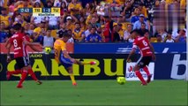 Goles De Los Tigres Del Clausura 2017 Liga Mx