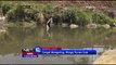 Debit air sungai Ciwidey menyusut akibat kemarau, warga panen ikan - NET12