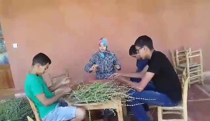 Effeuillage de la menthe poivrée