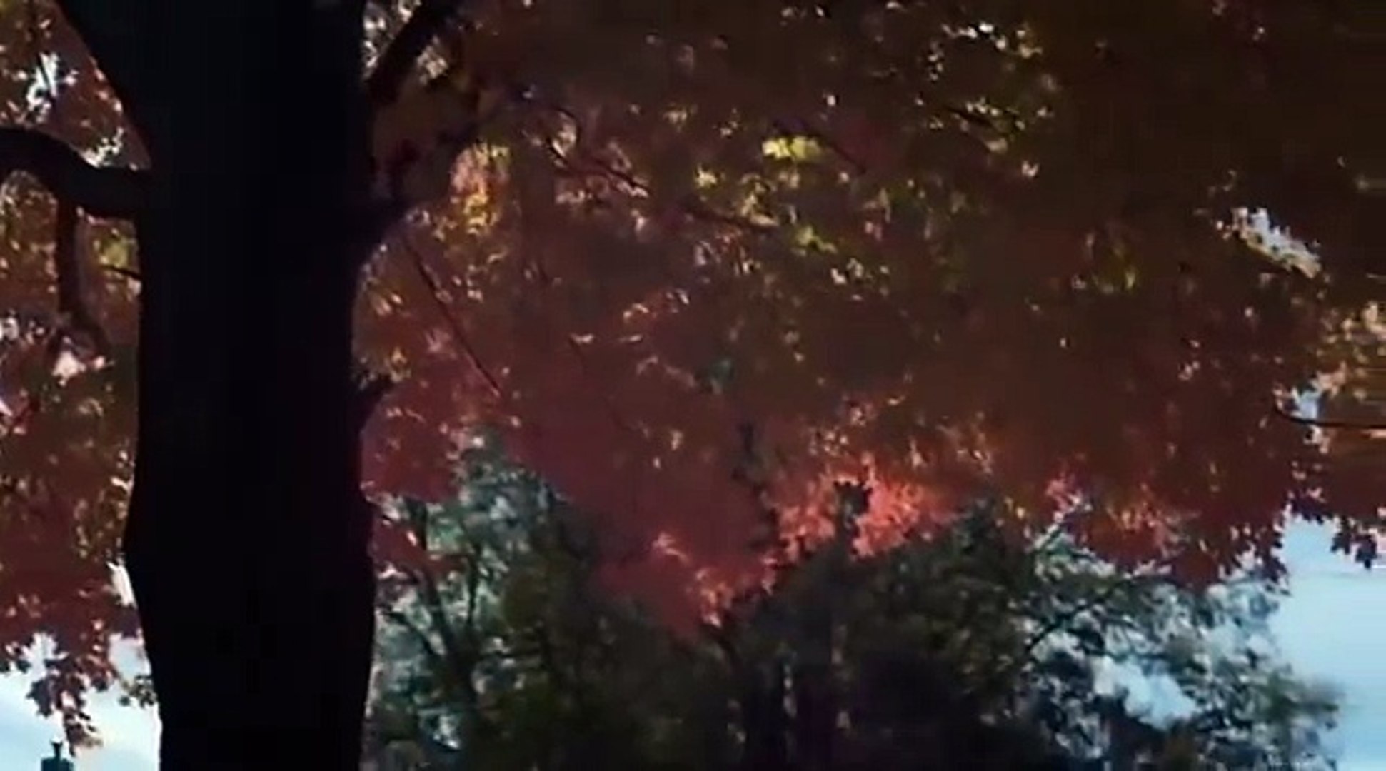 Scary Thriller Movies 2017 in English Hollywood Full Horror Movie,Movies hd new cinema online free 2