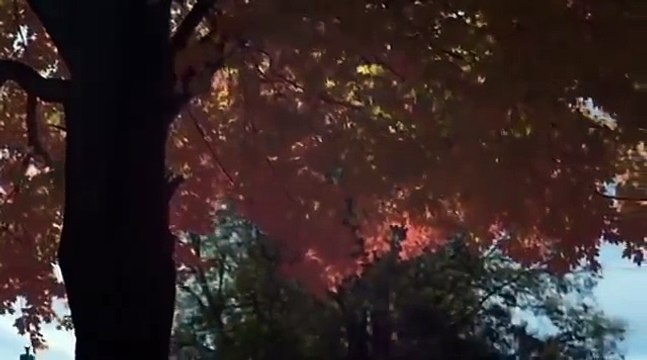 Scary Thriller Movies 2017 in English Hollywood Full Horror Movie,Movies hd new cinema online free 2017