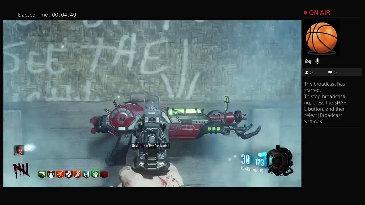 RulezSnipes (40)