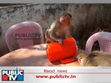 Monkeys tries to Open water jug in Chitradurga