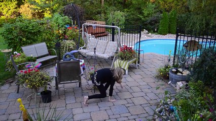 Cool Cats Unlucky Day!