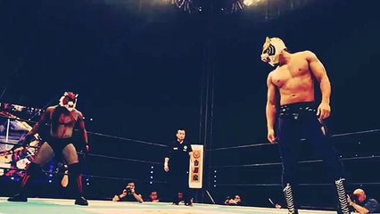 プロレス動画！ ﾀｲｶﾞｰﾏｽｸW対ﾀｲｶﾞｰｻﾞﾀﾞｰｸ編！