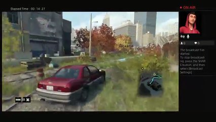 Watch dogs bad blood (29)