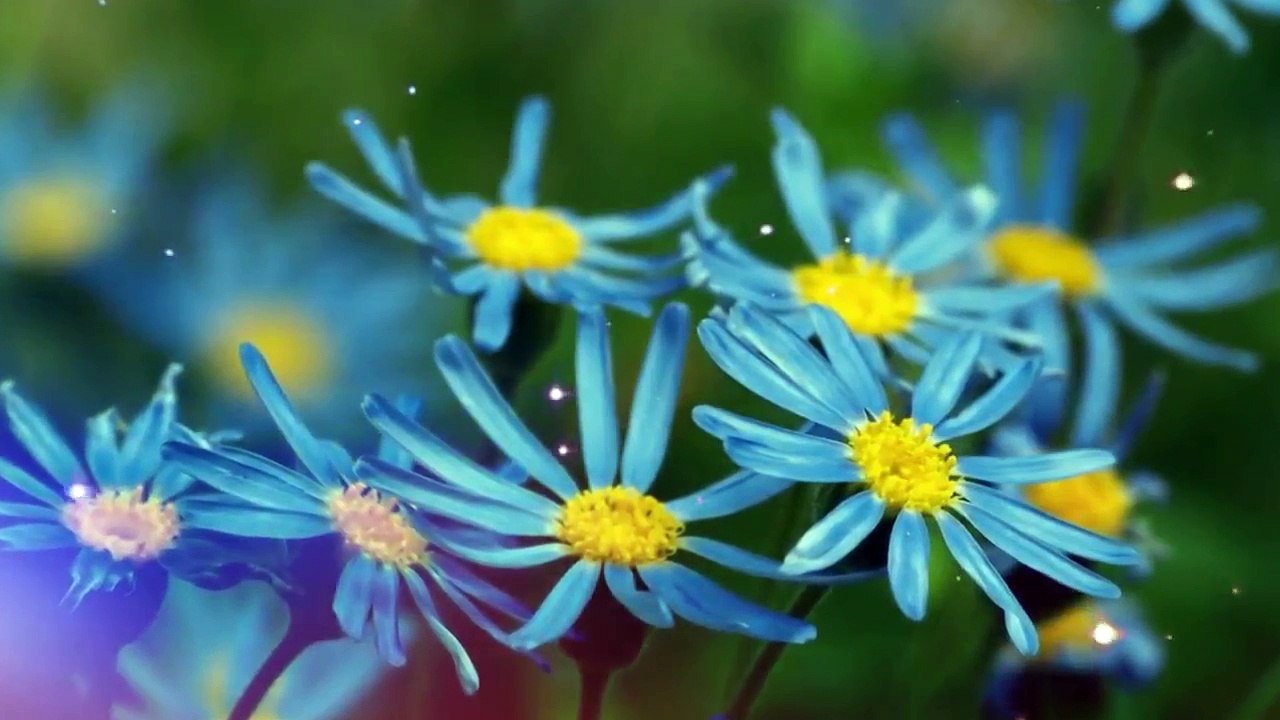Beautiful Chinese Music