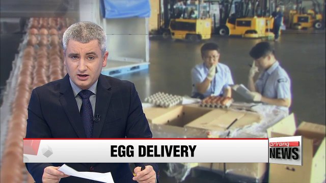 Imported Thai eggs arrive in South Korea, to be distributed by the end of this month