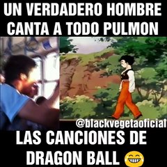 un verdadero fans de dragon ball Z