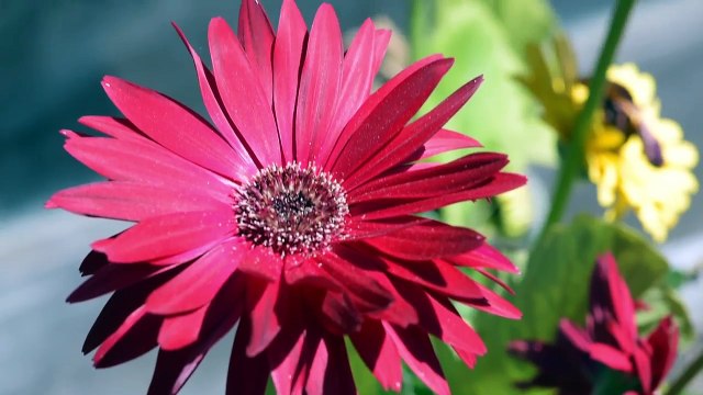 Interior Design Spring Table Setting Spring Decorating Ideas