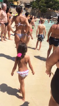 Rekin_shark_tiburon Palma de Mallorca - Illetas 2017