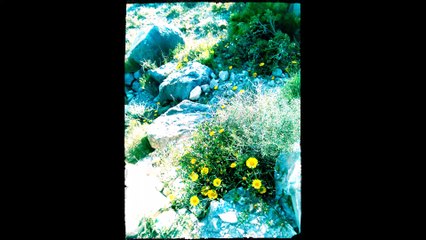 benali benorm alicante spain