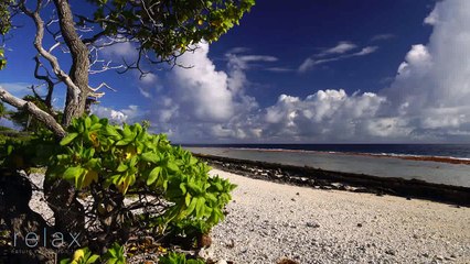 הונאה או תרופת פלא?  אפקט הפלצבו - חלק 1