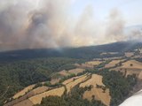 Çanakkale Tarım Arazisinde Çıkan Yangın Ormana Sıçradı