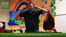 Meet Animal Man Mini Zoo To _ Childrens Parties Glasgow