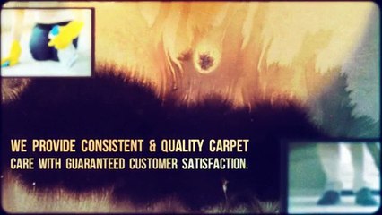 High-Quality Carpet Cleaning Service