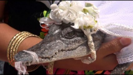 Mayor of Mexican fishing town 'marries' crocodile bride