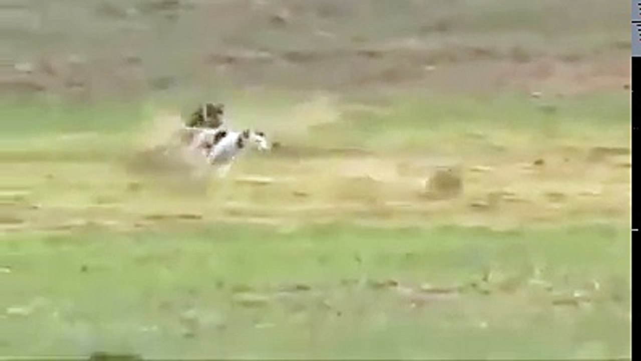 Funny Video