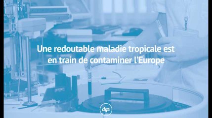 Une redoutable maladie tropicale est en train de contaminer l'Europe