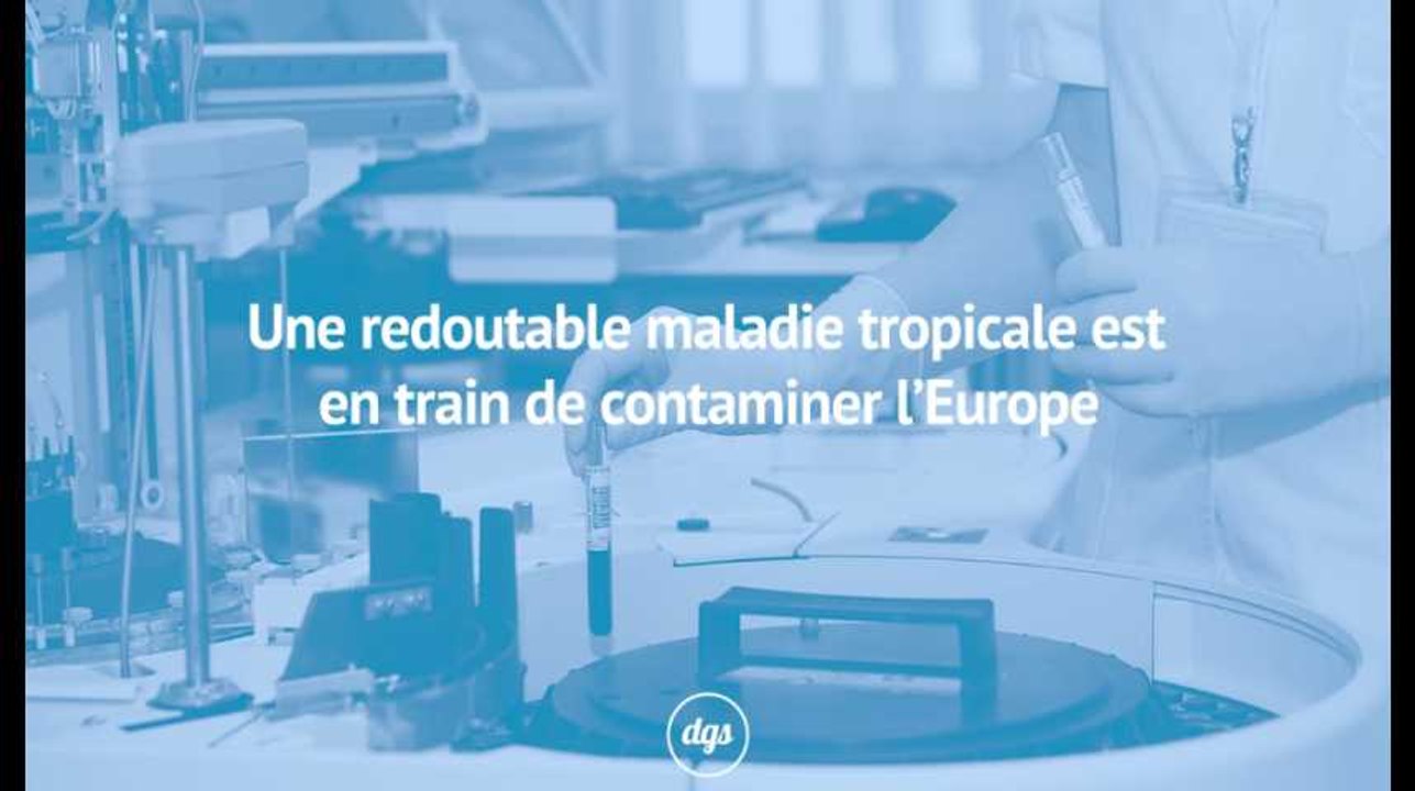 Une redoutable maladie tropicale est en train de contaminer l'Europe