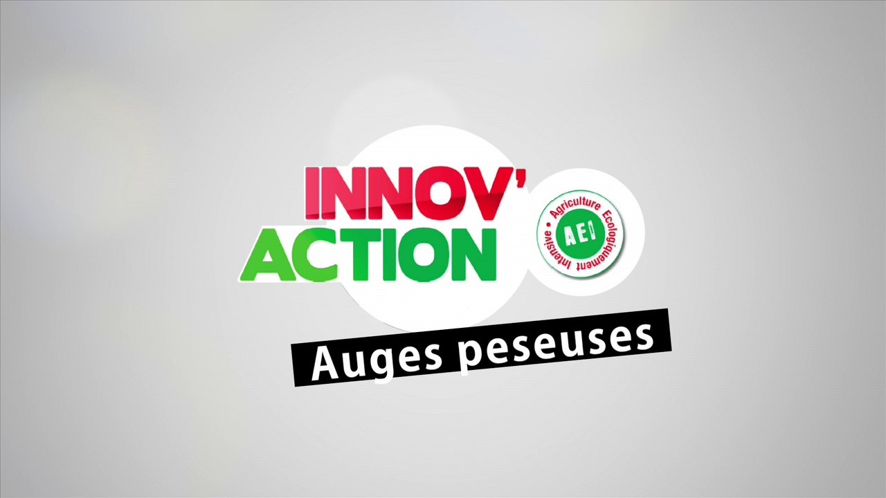 Auges peseuses