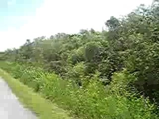 Everglades  09 - 09 - 2007