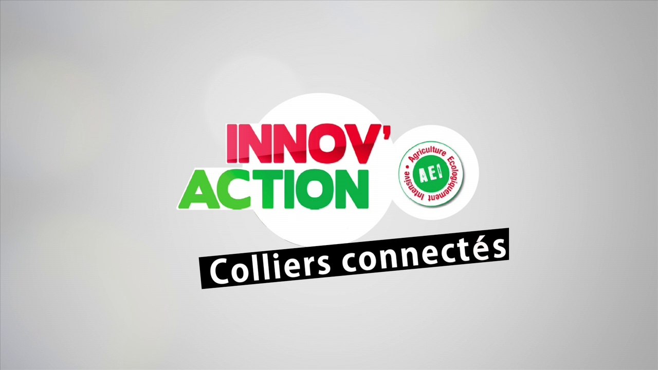 Collier connecté
