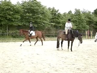 Stage Cheval 2007