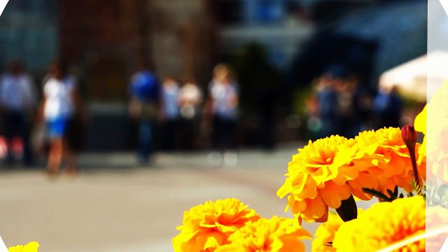 Appartement à vendre, Asnieres Sur Seine (92), 368 000€