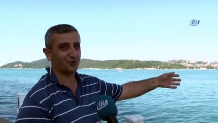 Yunusların Dansı Drone İle Havadan Böyle Görüntülendi