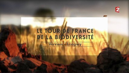 Le Tour de France de la BioDiversité : Episode 3 avec Denis Gargaud
