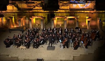Ce chien s’incruste au milieu d’un orchestre symphonique et fait sensation