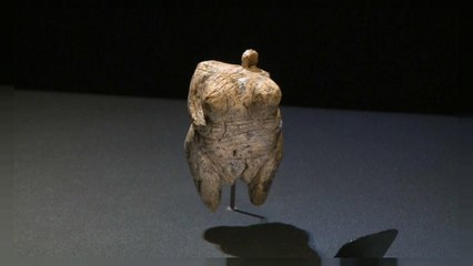 El arte paleolítico llama a las puertas de la UNESCO