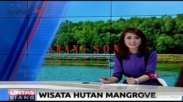 Pesona Hutan Mangrove di Pesisir Karang Song