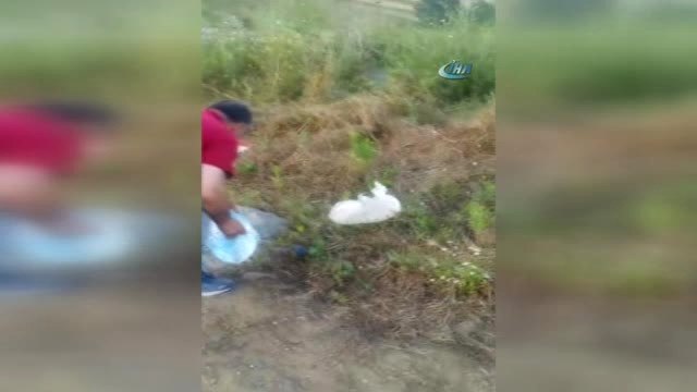 Karadeniz Sahil Yolu'na Vatandaş Eliyle 'Giresun Tabelası' Dikildi